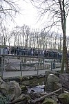 Zoo2012-10.jpg