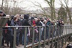 Zoo2012-12.jpg