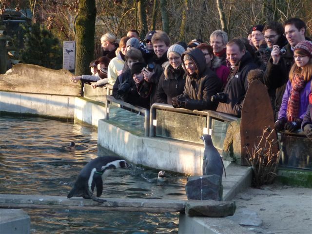 Zoo2013-31.jpg