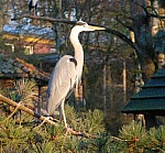 Zoo2013-29.jpg