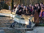 Zoo2013-31.jpg