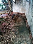 Zoo_2015_08.jpg