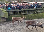 zoo2016_10.jpg