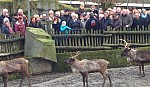 zoo2016_11.jpg