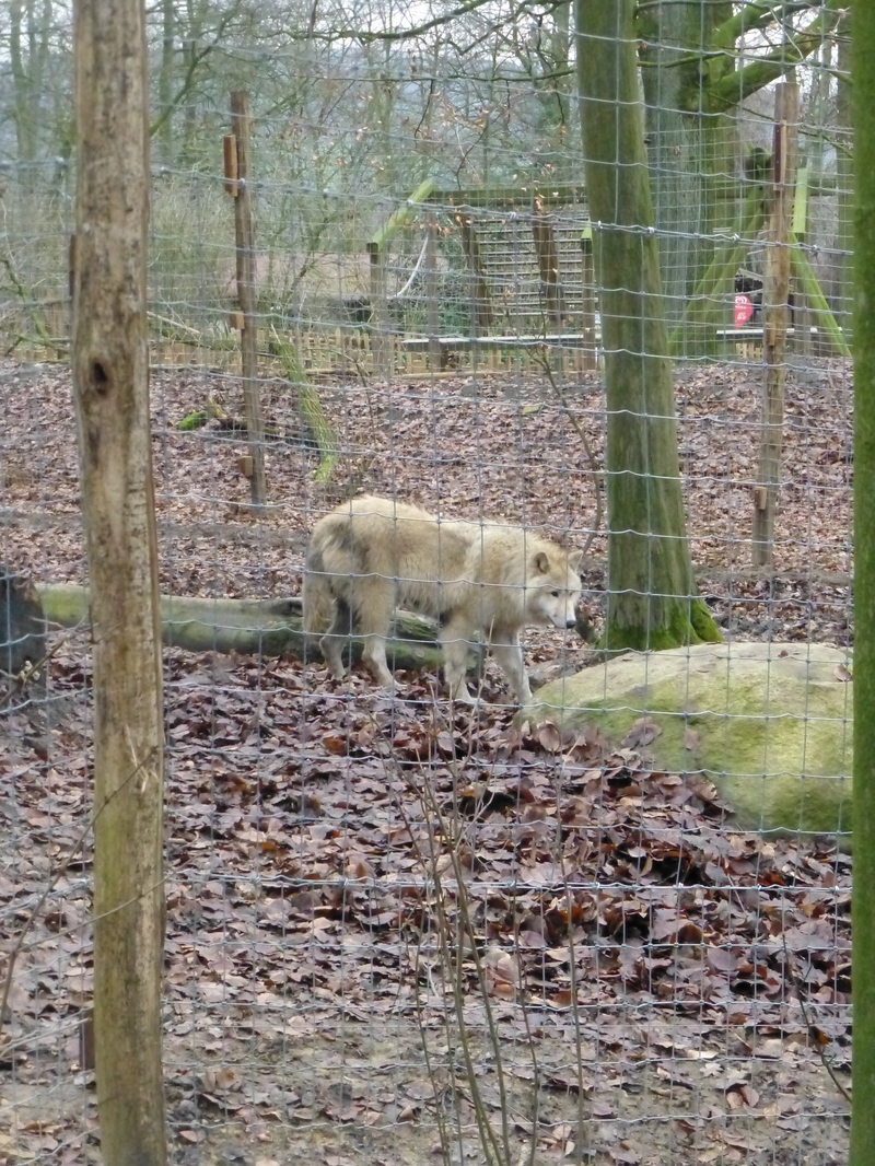zoo2017_18.jpg