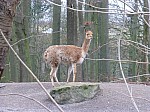 zoo2017_11.jpg