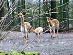 zoo2017_12.jpg