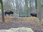 zoo2017_14.jpg