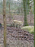 zoo2017_18.jpg