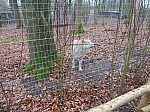 zoo2017_19.jpg